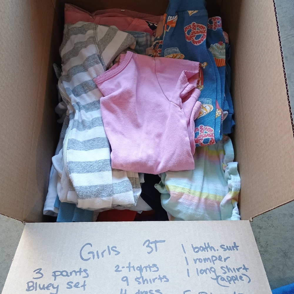 Girls Clothing Bundle 3T 30pcs Bluey Set, Pajamas, Bathing suit, Dress,Holiday